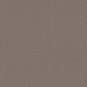 Anderson Tuftex Carpet Chit Chat Caffeine 00775_ZZ261