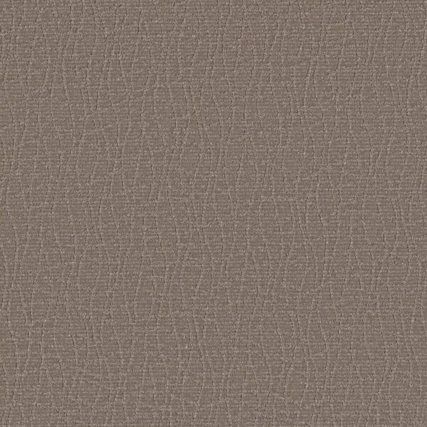 Anderson Tuftex Carpet Chit Chat Caffeine 00775_ZZ261