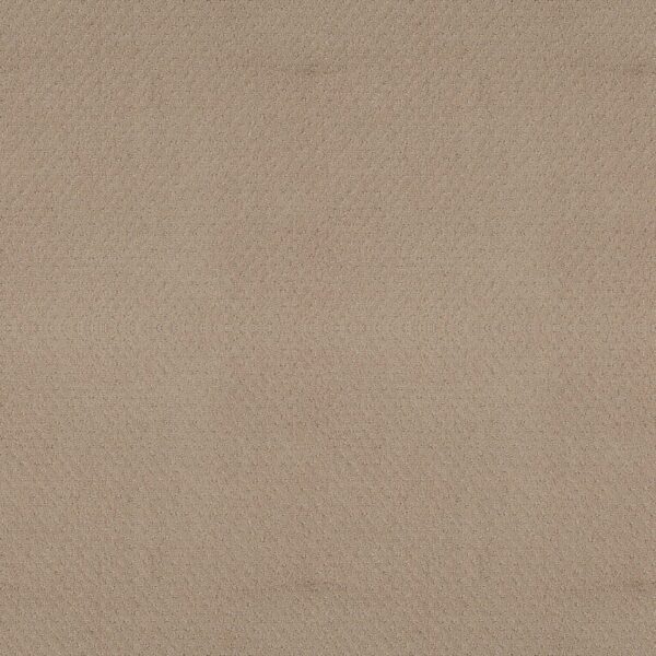 Shaw Floors Carpet Del Vista Terrazo 00114_ZZ262