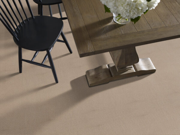 Shaw Floors Carpet Del Vista Terrazo 00114_ZZ262 - Image 2
