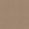 Shaw Floors Carpet Del Vista Beach Grass 00117_ZZ262