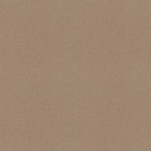 Shaw Floors Carpet Del Vista Beach Grass 00117_ZZ262