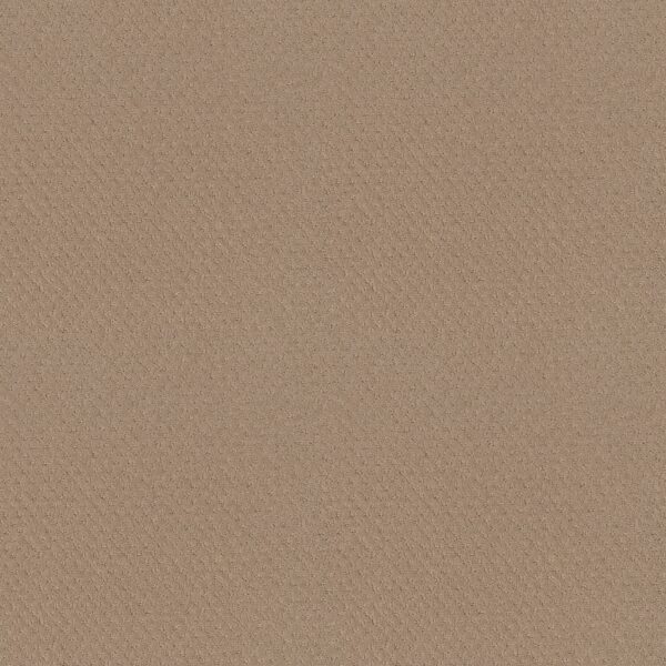 Shaw Floors Carpet Del Vista Beach Grass 00117_ZZ262