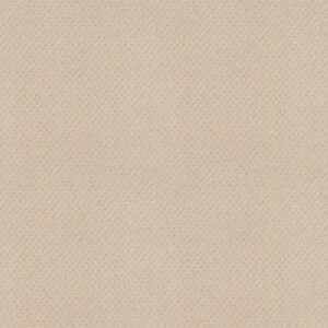 Shaw Floors Carpet Del Vista Ivory 00120_ZZ262