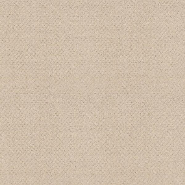 Shaw Floors Carpet Del Vista Ivory 00120_ZZ262