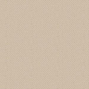Shaw Floors Carpet Del Vista Linen 00121_ZZ262