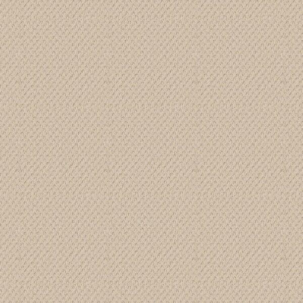 Shaw Floors Carpet Del Vista Linen 00121_ZZ262