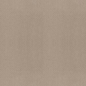 Shaw Floors Carpet Del Vista Dune 00152_ZZ262