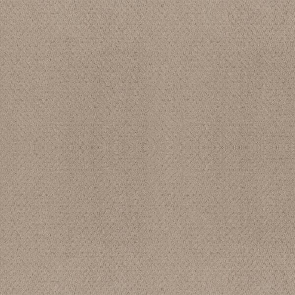Shaw Floors Carpet Del Vista Dune 00152_ZZ262