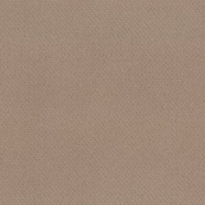 Shaw Floors Carpet Del Vista Spanish Sand 00154_ZZ262