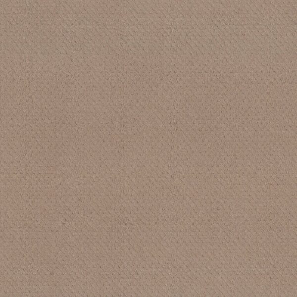 Shaw Floors Carpet Del Vista Spanish Sand 00154_ZZ262