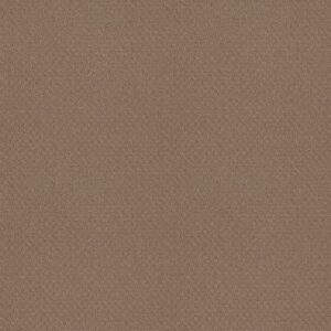 Shaw Floors Carpet Del Vista Sierra Hills 00174_ZZ262