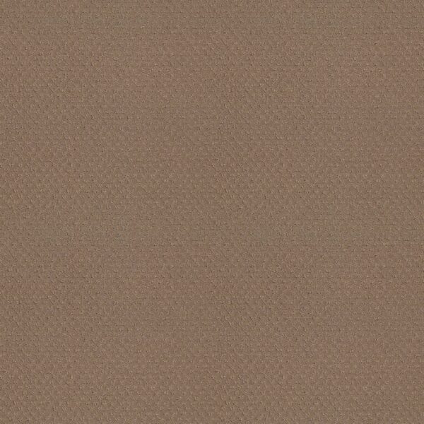 Shaw Floors Carpet Del Vista Sierra Hills 00174_ZZ262