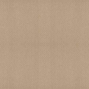Shaw Floors Carpet Del Vista Magic 00214_ZZ262