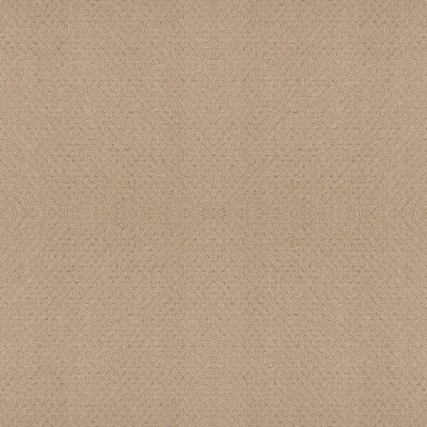 Shaw Floors Carpet Del Vista Magic 00214_ZZ262
