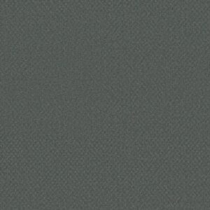 Shaw Floors Carpet Del Vista Tidal 00446_ZZ262