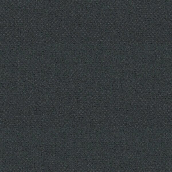 Shaw Floors Carpet Del Vista Marina 00458_ZZ262