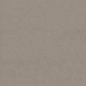 Shaw Floors Carpet Del Vista Ash Mist 00511_ZZ262