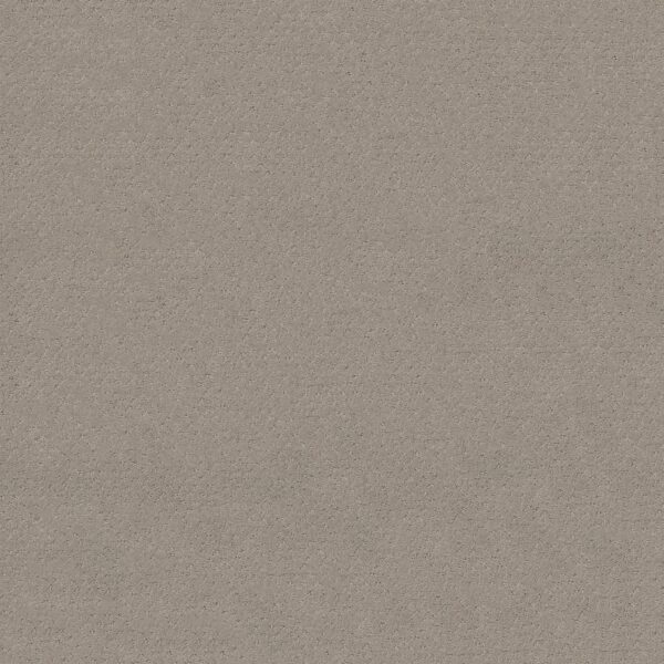 Shaw Floors Carpet Del Vista Ash Mist 00511_ZZ262