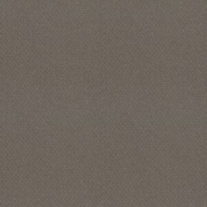 Shaw Floors Carpet Del Vista Still Gray 00515_ZZ262