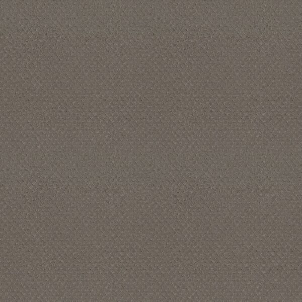 Shaw Floors Carpet Del Vista Still Gray 00515_ZZ262