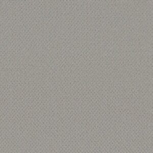 Shaw Floors Carpet Del Vista Silver Fox 00541_ZZ262