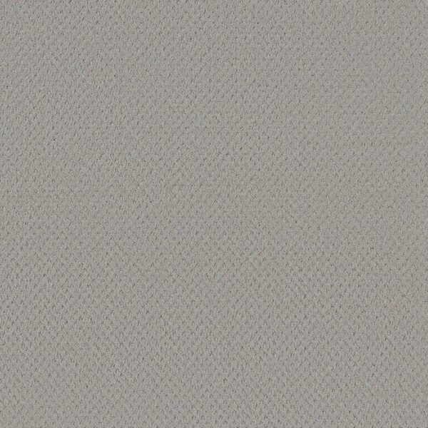 Shaw Floors Carpet Del Vista Silver Fox 00541_ZZ262