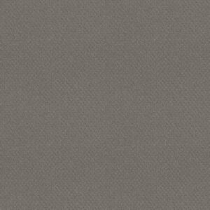 Shaw Floors Carpet Del Vista Pebble Beach 00545_ZZ262