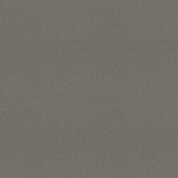 Shaw Floors Carpet Del Vista Pebble Beach 00545_ZZ262