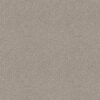 Shaw Floors Carpet Del Vista Pewter 00558_ZZ262