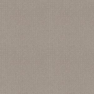 Shaw Floors Carpet Del Vista Pewter 00558_ZZ262