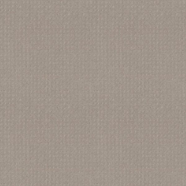 Shaw Floors Carpet Del Vista Pewter 00558_ZZ262