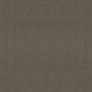 Shaw Floors Carpet Del Vista Potting Soil 00573_ZZ262
