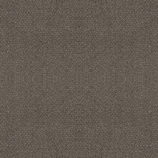 Shaw Floors Carpet Del Vista Potting Soil 00573_ZZ262