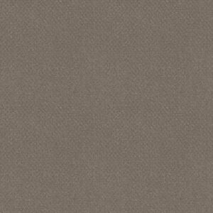 Shaw Floors Carpet Del Vista Riverbank 00575_ZZ262