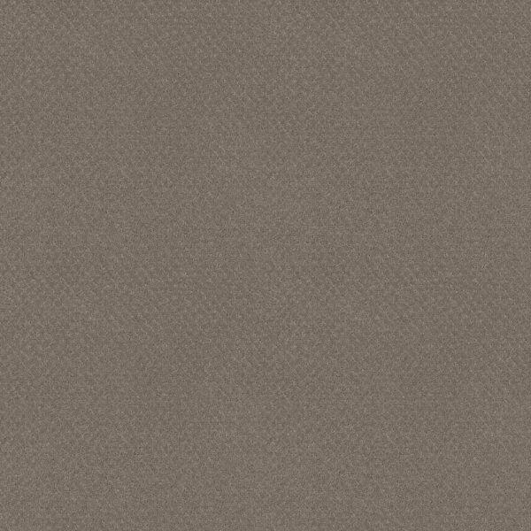 Shaw Floors Carpet Del Vista Riverbank 00575_ZZ262