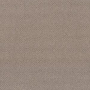 Shaw Floors Carpet Del Vista Barista 00752_ZZ262