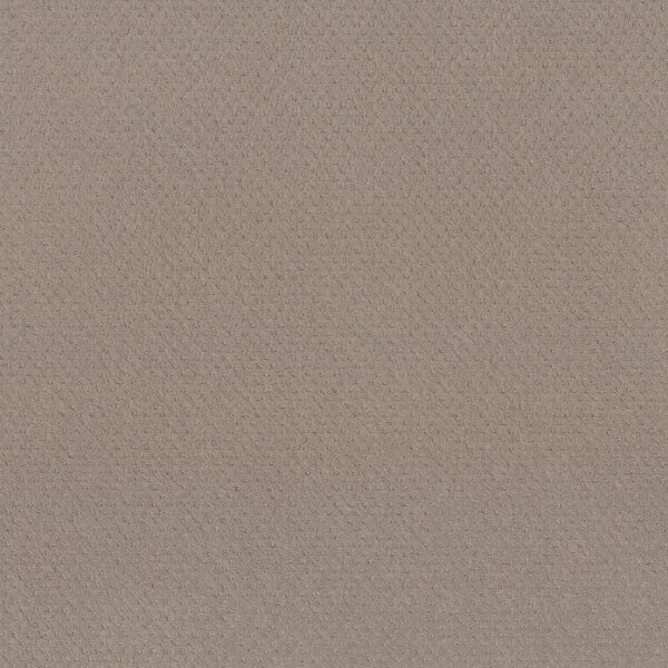 Shaw Floors Carpet Del Vista Barista 00752_ZZ262