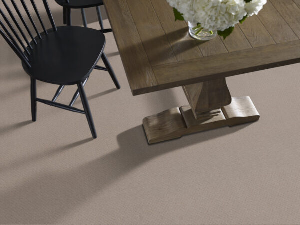 Shaw Floors Carpet Del Vista Barista 00752_ZZ262 - Image 2