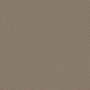 Shaw Floors Carpet Del Vista Shitake 00754_ZZ262