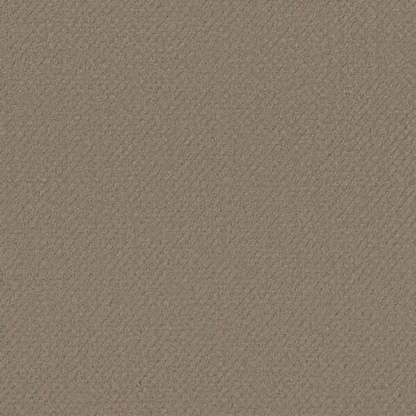 Shaw Floors Carpet Del Vista Shitake 00754_ZZ262