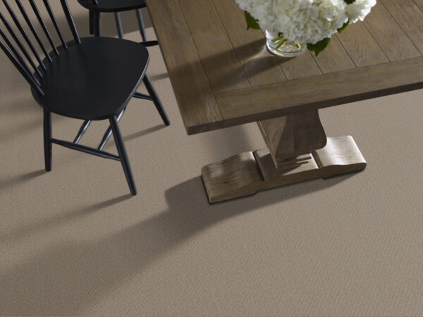 Shaw Floors Carpet Del Vista Shitake 00754_ZZ262 - Image 2