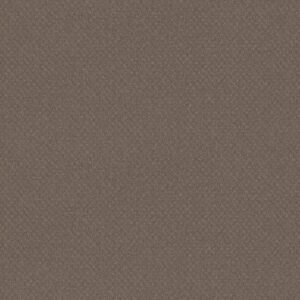 Shaw Floors Carpet Del Vista Smokestack 00756_ZZ262