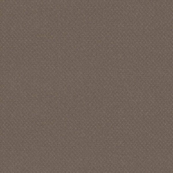 Shaw Floors Carpet Del Vista Smokestack 00756_ZZ262