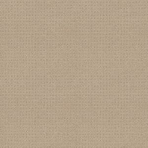 Shaw Floors Carpet Town Square Terrazo 00114_ZZ263