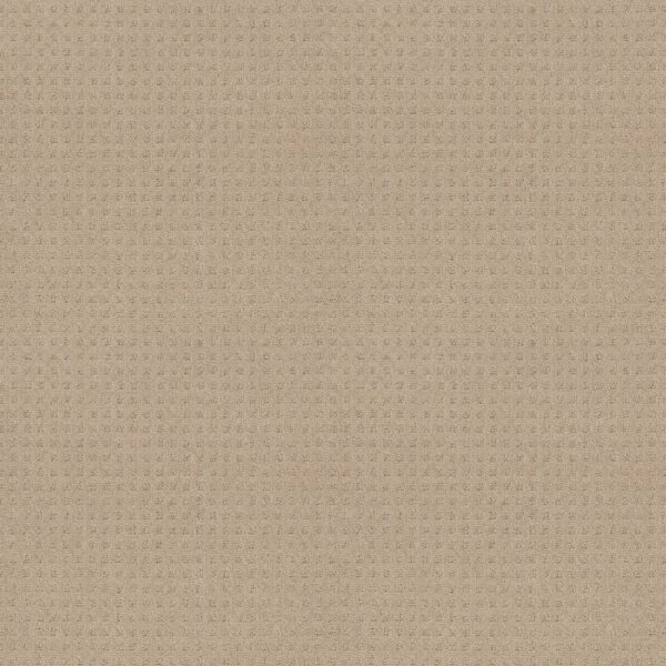 Shaw Floors Carpet Town Square Terrazo 00114_ZZ263