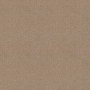 Shaw Floors Carpet Town Square Beach Grass 00117_ZZ263