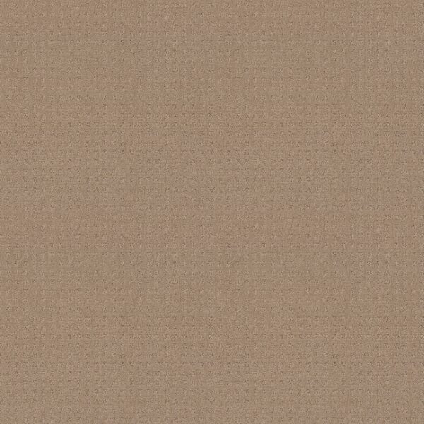 Shaw Floors Carpet Town Square Beach Grass 00117_ZZ263