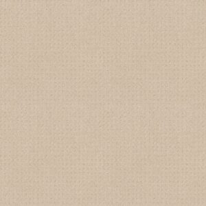 Shaw Floors Carpet Town Square Ivory 00120_ZZ263
