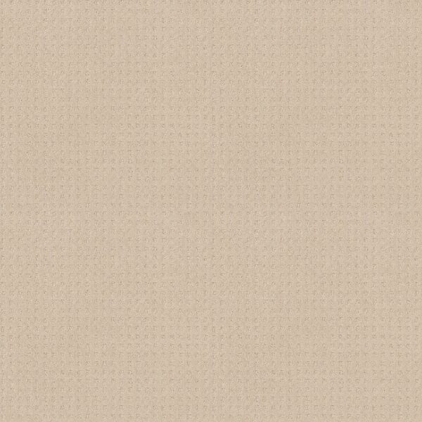 Shaw Floors Carpet Town Square Ivory 00120_ZZ263